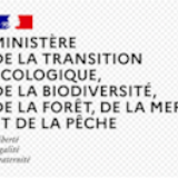 Réglementation 2025 de la pêche de loisir du bar et du lieu jaune